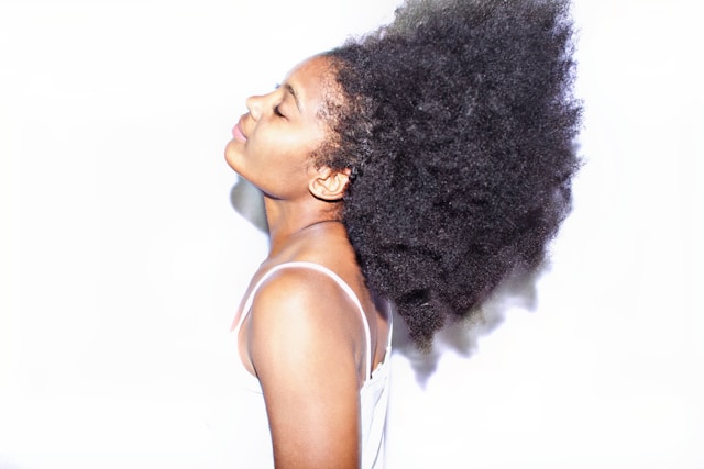 Vontramessia harmónia